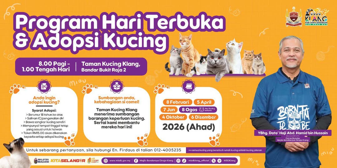 pencinta kucing jom ke sini.. mana tau ada yang berkenan di hati
