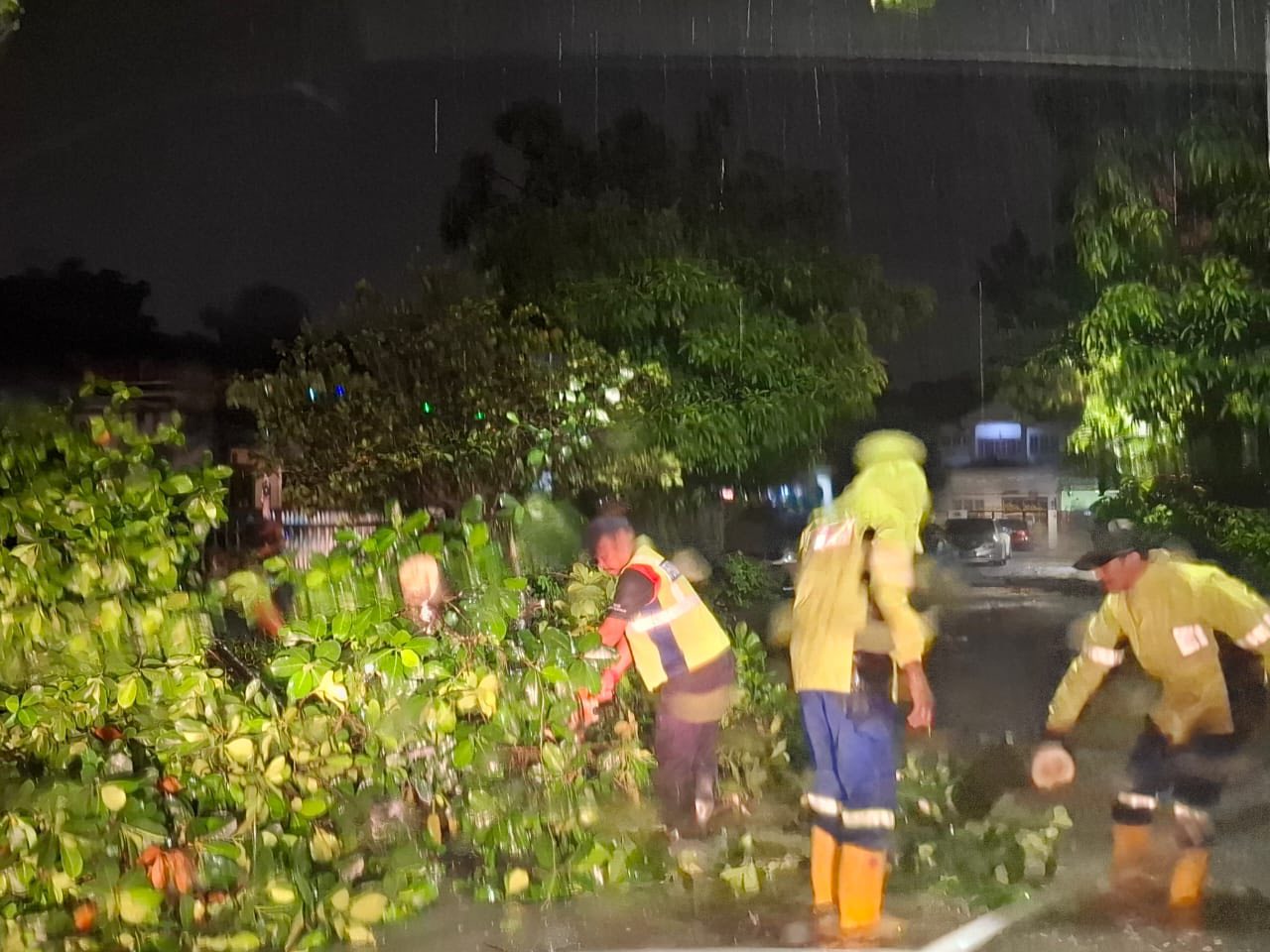SKUAD PANTAS MBDK ADUAN POKOK TUMBANG 