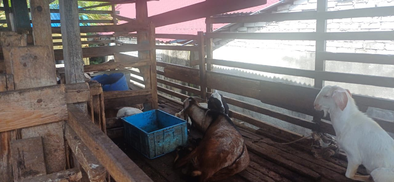 OPERASI PENGUATKUASAAN ADUAN PENCEMARAN BAU DAN SALIRAN NAJIS LEMBU 