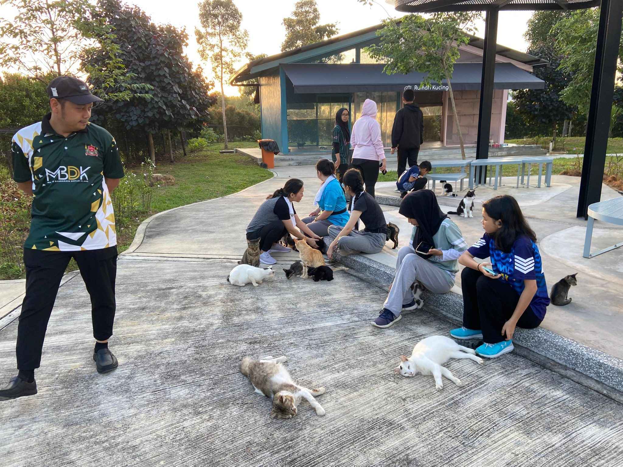 HARI TERBUKA & ADOPSI KUCING 1