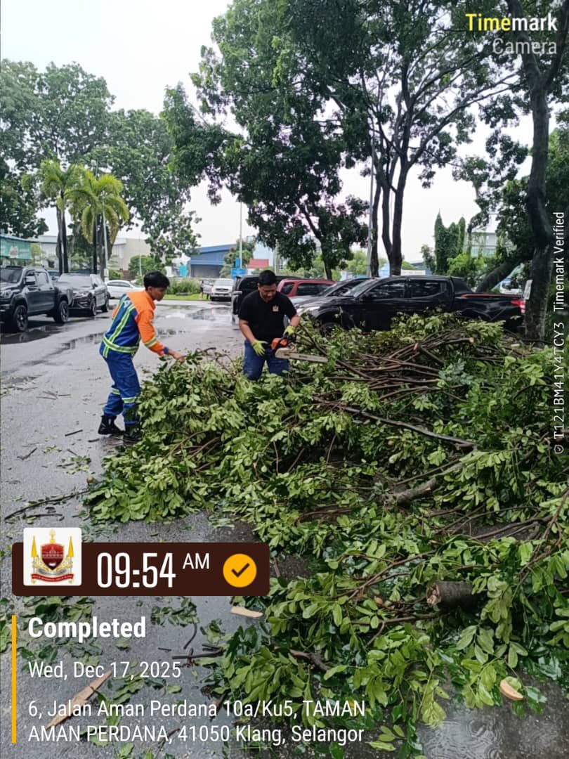 SKUAD PANTAS MBDK ADUAN POKOK TUMBANG DI SEKITAR TAMAN AMAN PERDANA 1