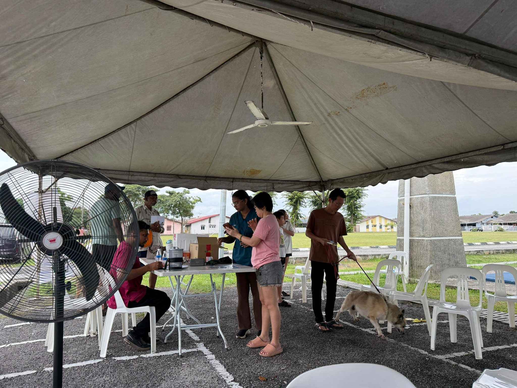 program melesenkan anjing secara 'in-situ' mbdk 2026