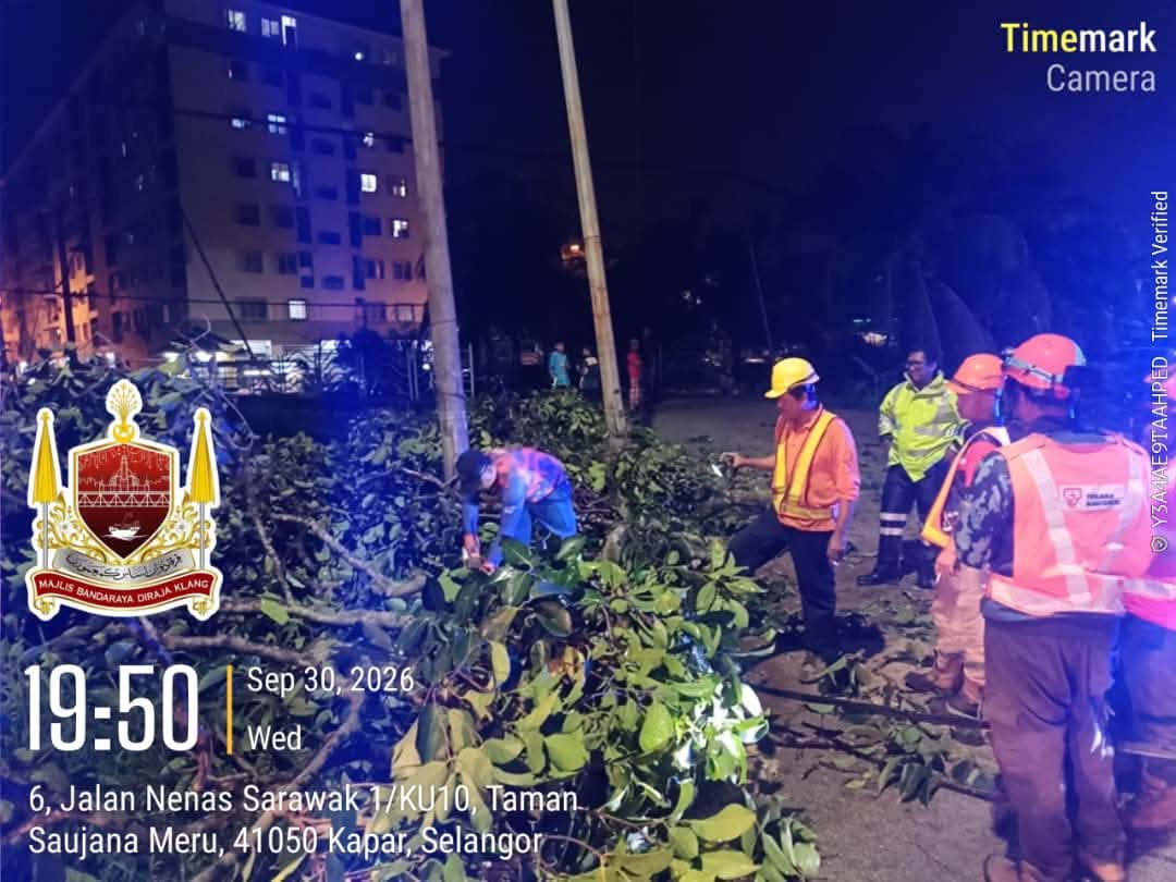 skuad pantas (team bravo) mbdk telah digerakkan bagi menangani aduan pokok dan dahan tumbang
