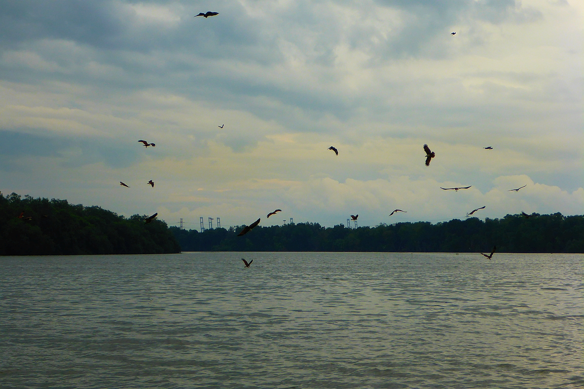  10. Eagle Feeding Point