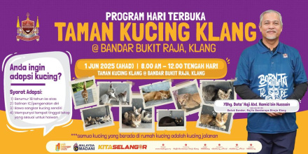 PROGRAM TAMAN KUCING