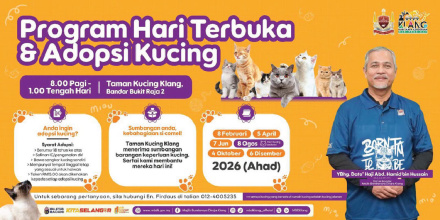 pencinta kucing jom ke sini.. mana tau ada yang berkenan di hati