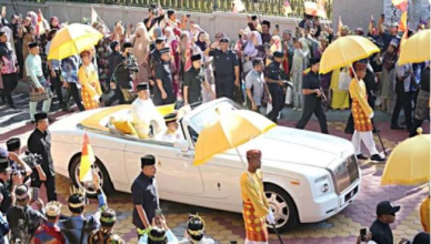 Ribuan saksikan istiadat pernikahan Tengku Amir hari ini - Cover Berita