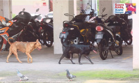 Operasi waktu malam